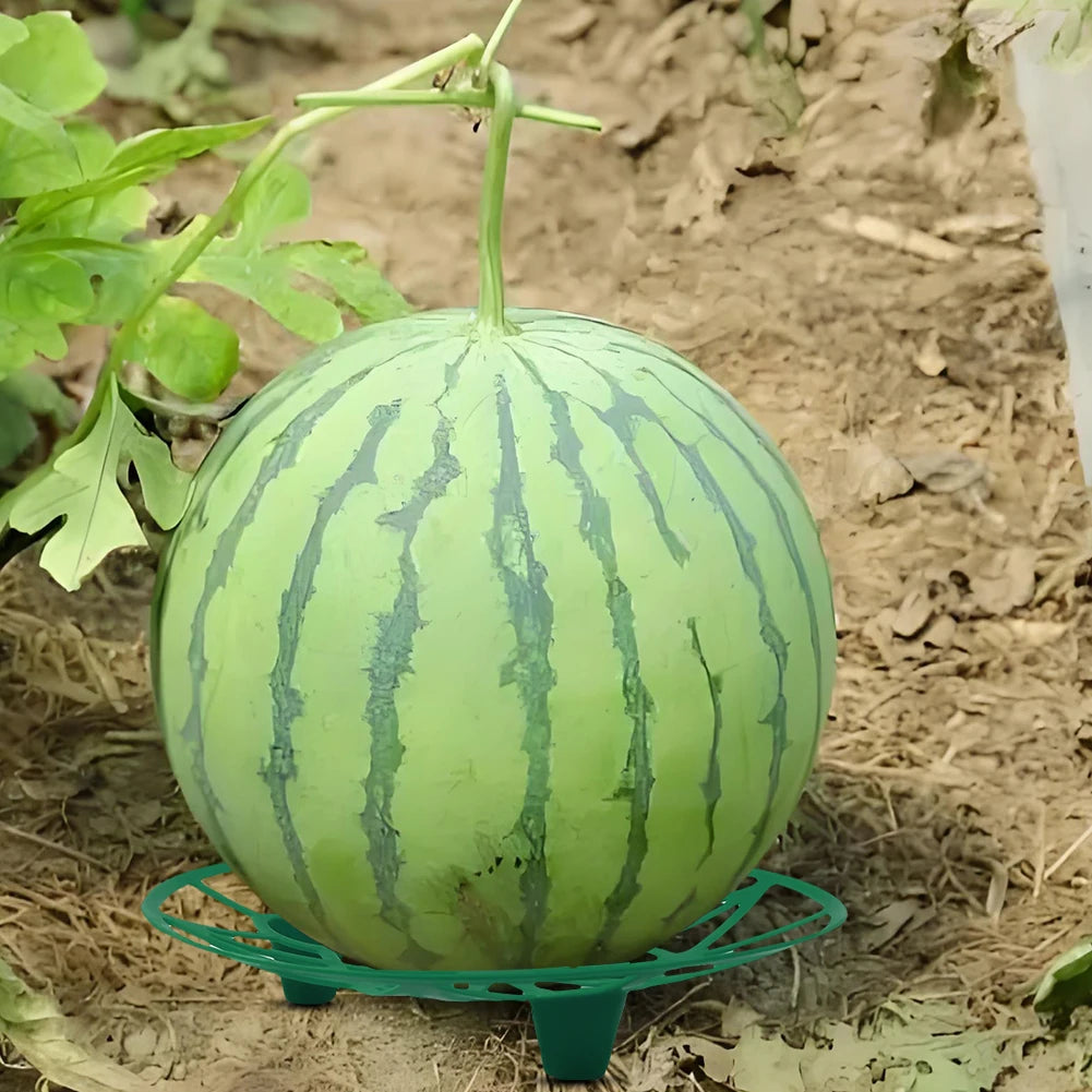 5/10Pcs Watermelon Stand Fruit Stand Support Basket Frame Vegetables Plant Tray Rack Melon Squash Pumpkin Protective Holder