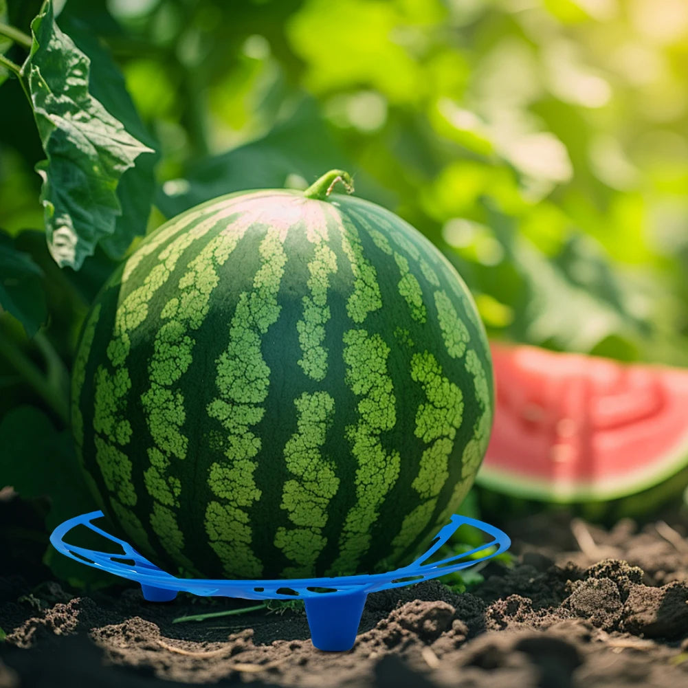 5/10Pcs Watermelon Stand Fruit Stand Support Basket Frame Vegetables Plant Tray Rack Melon Squash Pumpkin Protective Holder